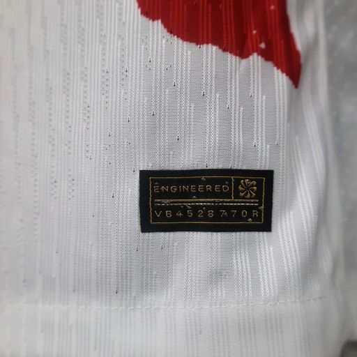 PSG 2024–2025 Away Player Version Jersey – G. Ramos #9