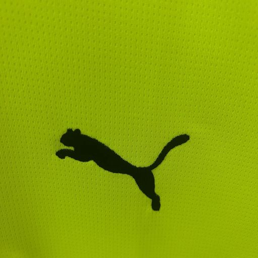 Borussia Dortmund 2025-2026 Green Away Jersey