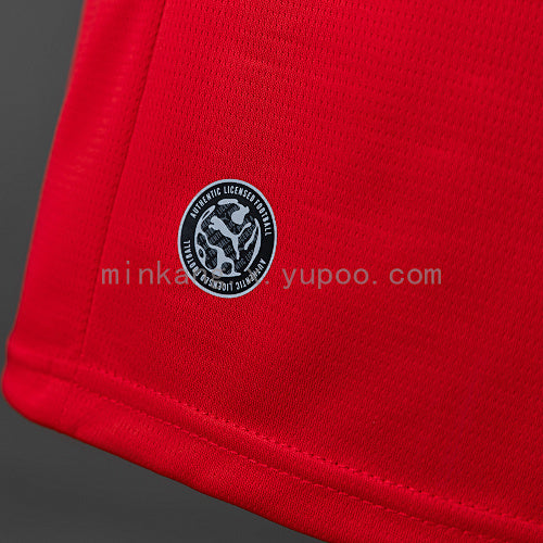 Galatasaray 2526 Retro Series - Red Jersey S-3XL